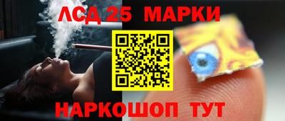 стафф Кандалакша