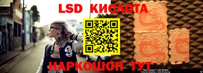стафф Кандалакша