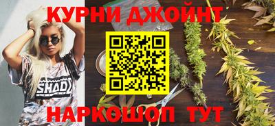 PSILOCYBIN Камышлов