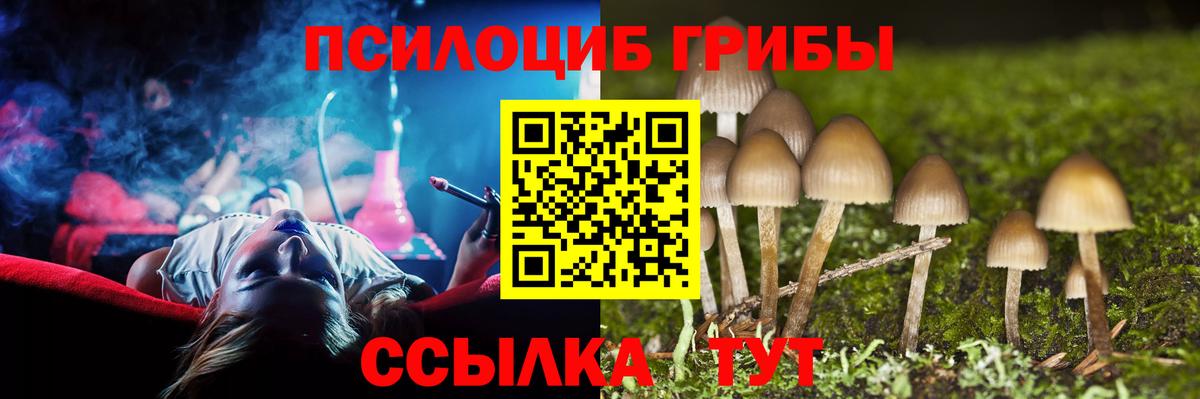 Куйбышев  Галлюциногенные грибы Psilocybine cubensis  Галлюциногенные грибы GOLDEN TEACHER  Вход с VPN 