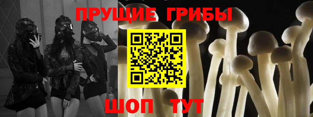 Галлюциногенные грибы мицелий Куйбышев
